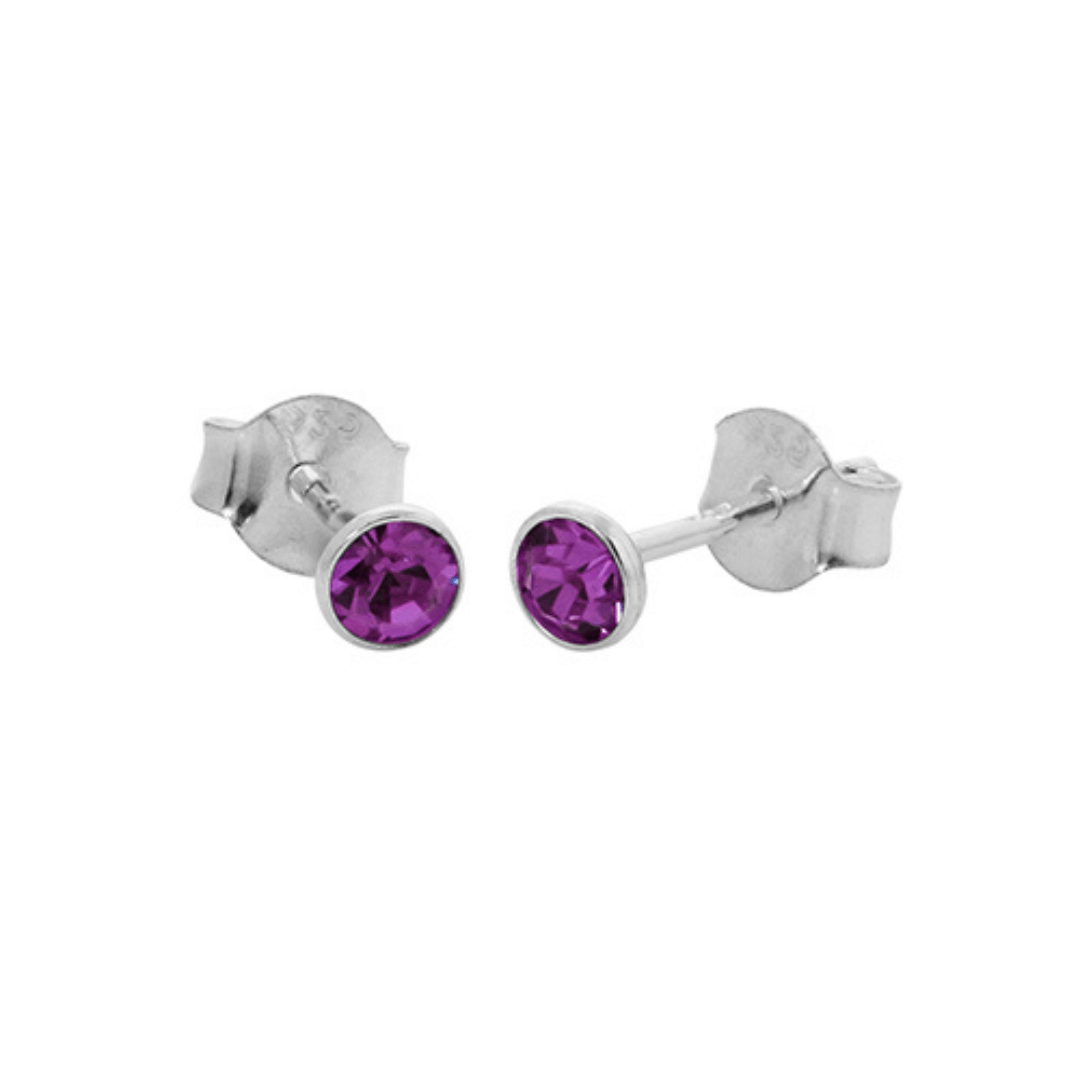 Sterling Silver Purple CZ Stud Earrings (Feb)